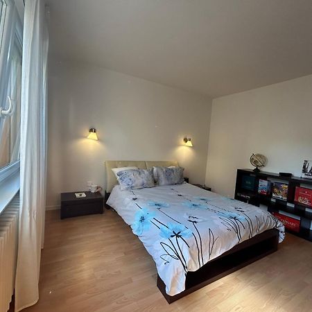 Superbe Appartement Avec Belle Terrasse Bischheim Екстер'єр фото